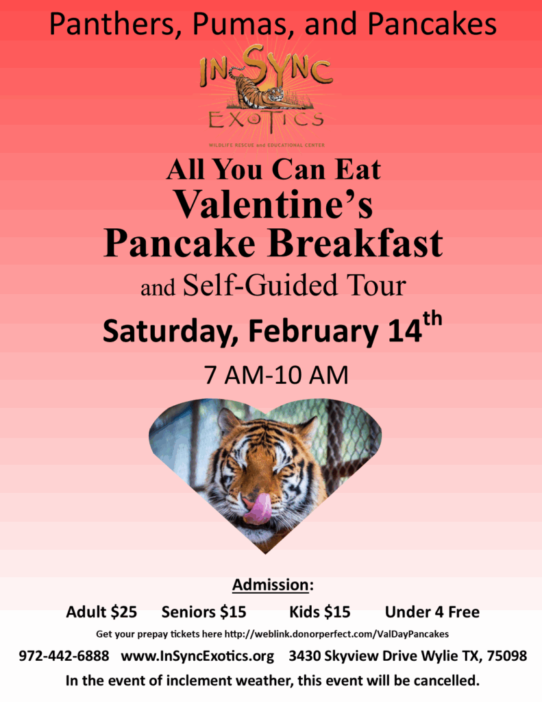flyer for breakfast fundraiser at big cat sanctuary