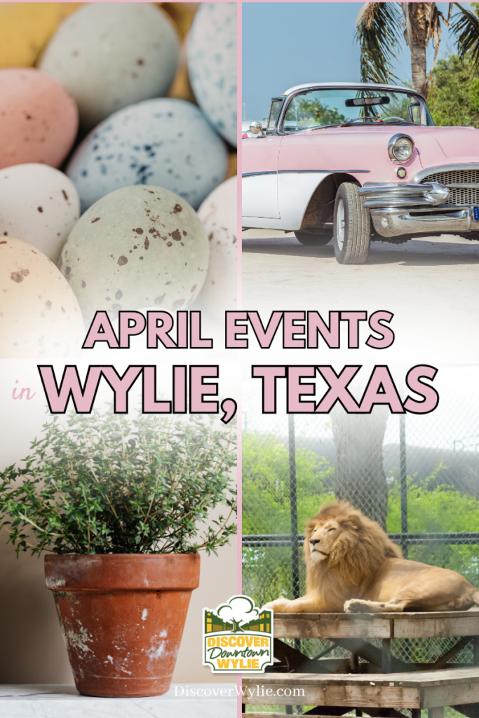collection of Wylie images like a lion and classic car