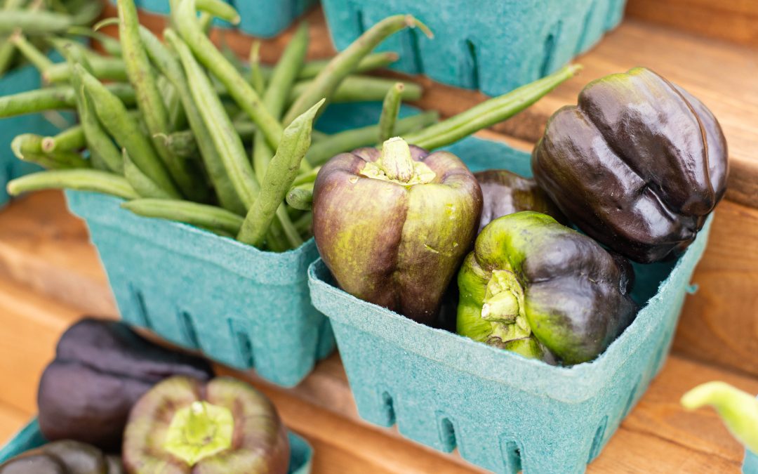 September Events in Wylie, Texas