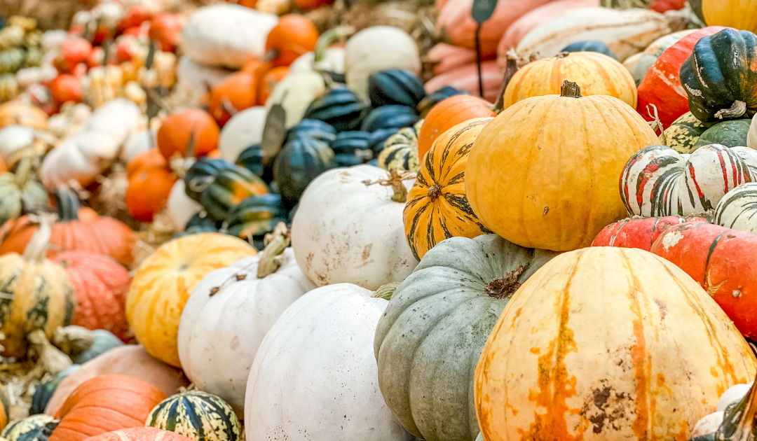 October Events in Wylie, Texas
